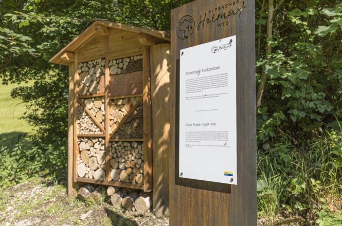 Alpbacher Heimatweg_Insekten