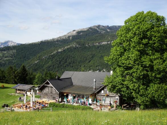 Auf der Hoisenradalm