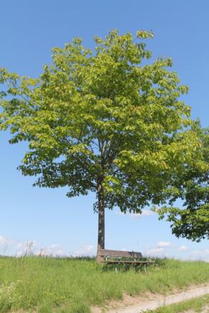 Gönnen Sie sich Ruhe in der Natur