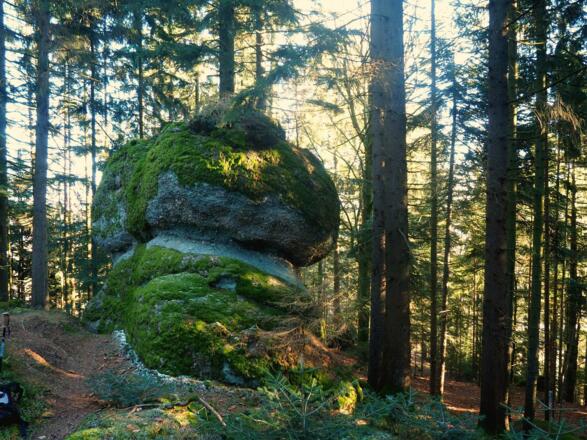 Phallusstein (Einsiedlerstein) ~705m