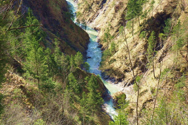 Blick in die Schlucht vom Auerbach von ca.700m