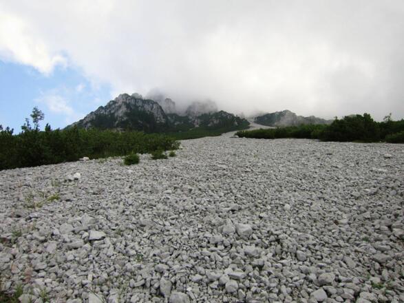 Ellmau_Scheffau_Lenggries_Wilder Kaiser