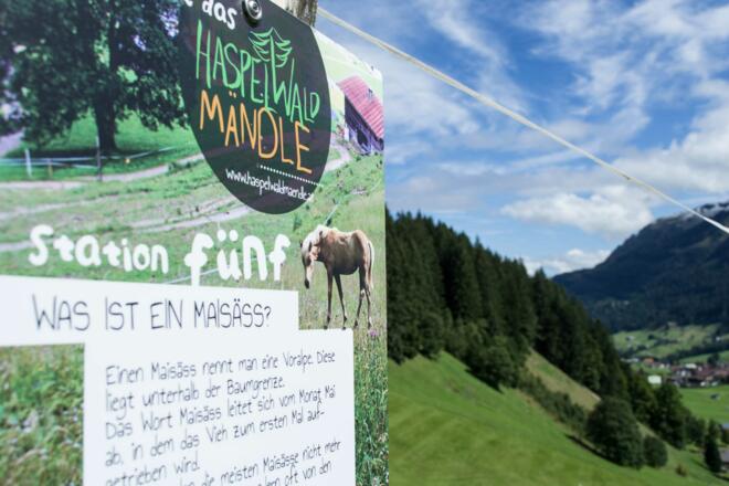 Station fünf des Haspelwaldwegs