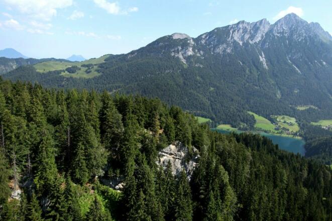Söll_Klettergarten Achleiten_Wilder Kaiser