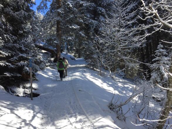 Von Baad auf den oberen Höhenweg