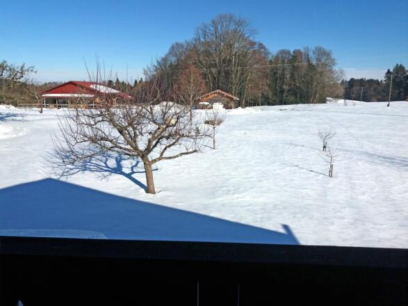 Ausblick im Winter