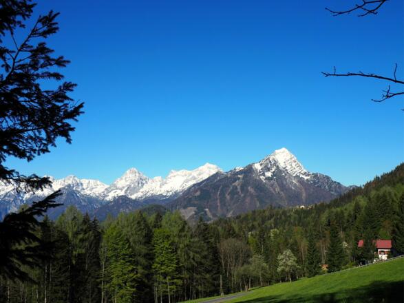 Prielkamm ober Parkplatz 920m