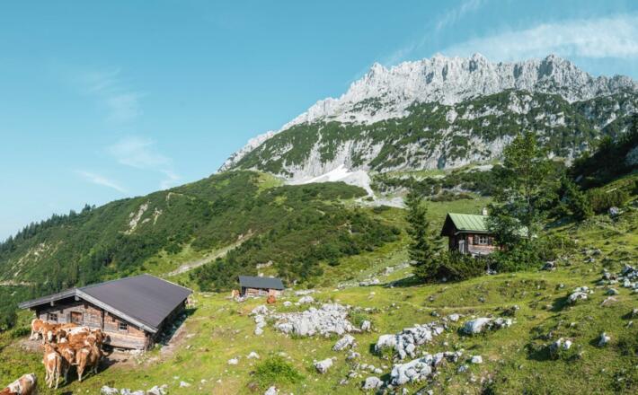 Scheffau_Kaiser-Hochalm_Wilder Kaiser