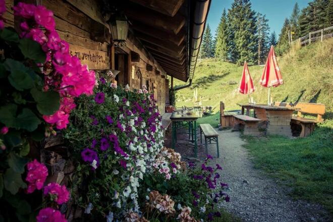 Brentenjochalm Wandern Einkehr  Terrasse Nazurerlebnis Kaisergebirge Alm Hütte