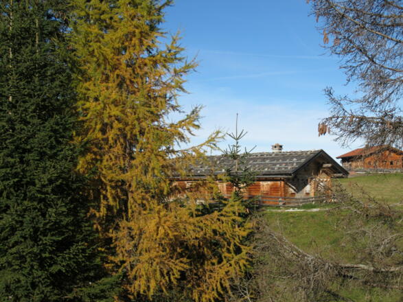 Herbststimmung auf der Loferer Alm