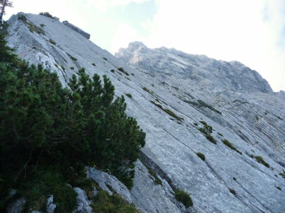 Scheffau_Widauersteig_Wilder Kaiser