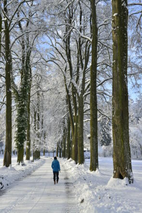 Winterwandern im Matzenpark Burgenwanderweg