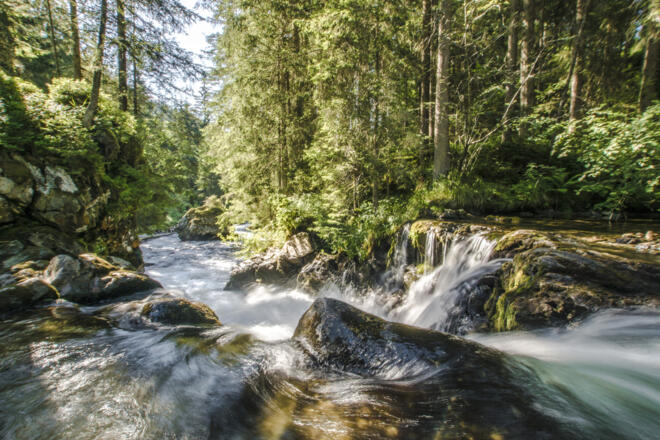 Wilde Wasser entlang des Untertalbaches