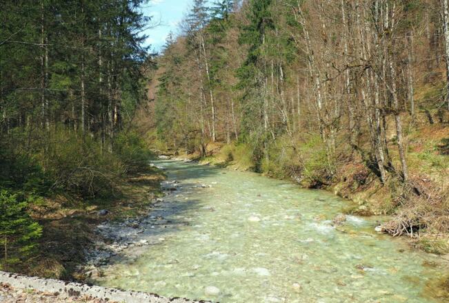 Auerbachbrücke 570m