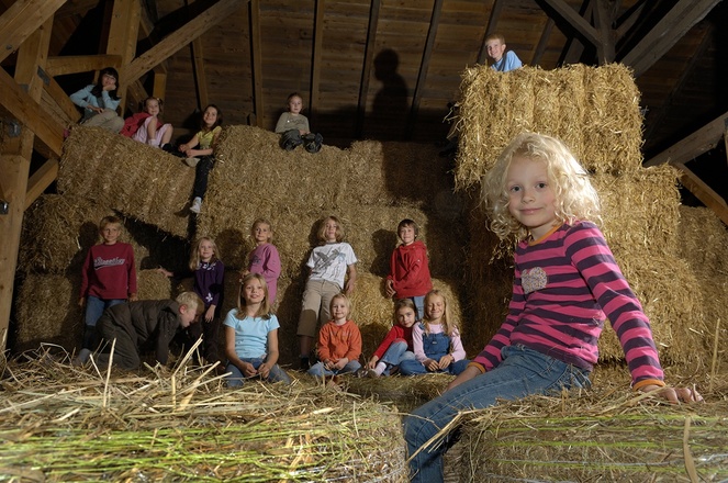 Kinder im Heu, Urlaub auf dem Land