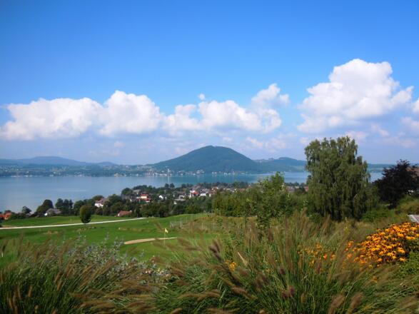 Weyregg vom Avocado aus