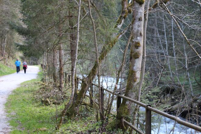Wild-romantische Talbachklamm