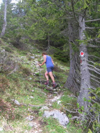 Waldansteig zum Zunterköpfl