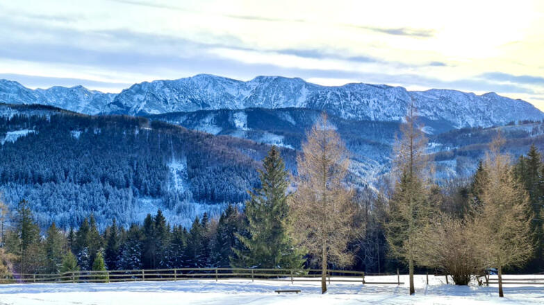 Foedinger Alm, Weyregg am Attersee