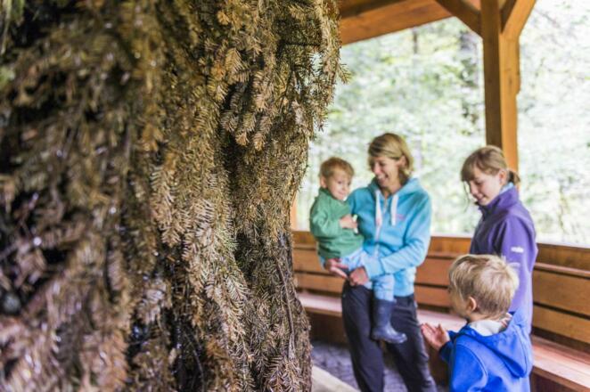 Scheffau_Kneipprunde_Wilder Kaiser