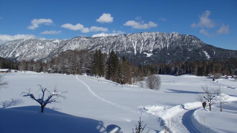 Winterlandschaft Rothenlehen