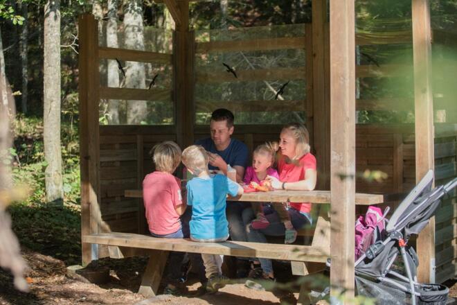 Going_Moor&amp;More_Törfchen Runde_Wilder Kaiser