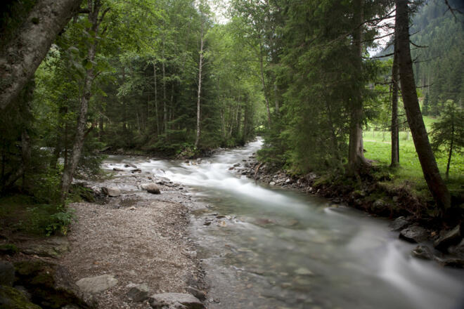 Entlang des Untertalbaches am Themenweg Wilde Wasser
