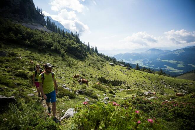 Scheffau_Kaiser-Hochalm_Aufstieg Scheffauer_Wilder Kaiser