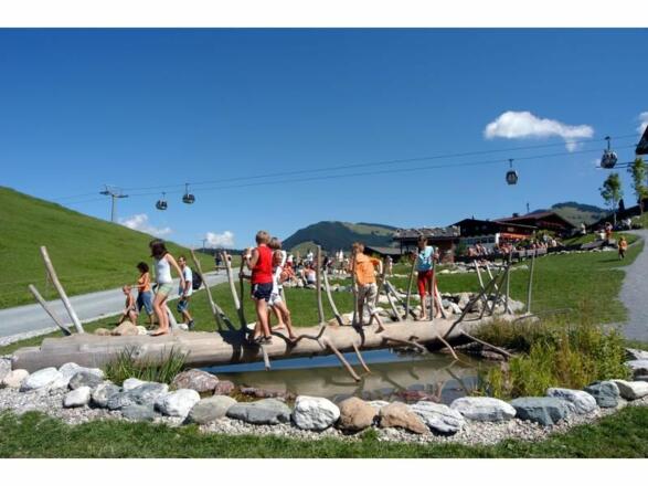 Söll_Hexenwasser_Kletterbaum_Wilder Kaiser