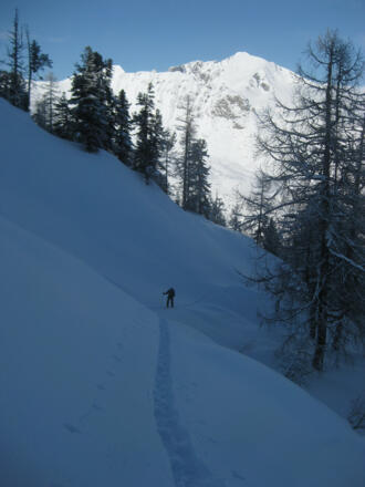 Waldhangquerung in den Pleißlingkessel