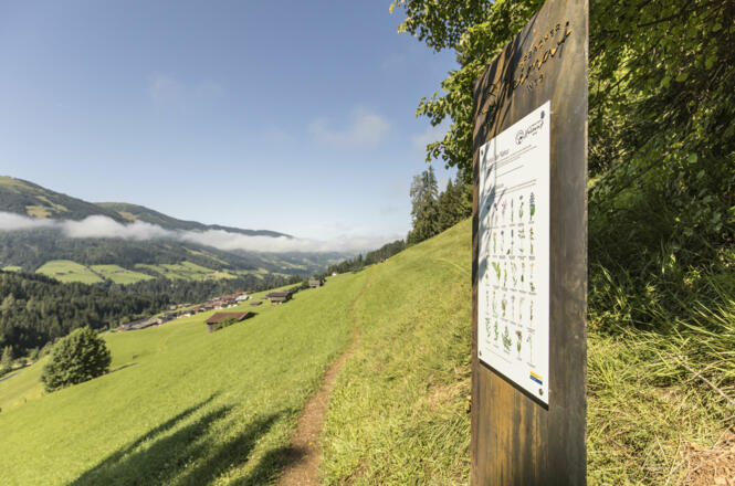 Alpbacher Heimatweg Infotafel