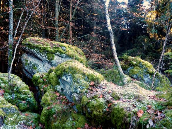 Felsformation &quot;Bärenlucke&quot; 738m