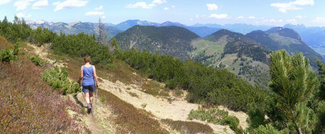 Zunterköpfl hinter Nachbergalm