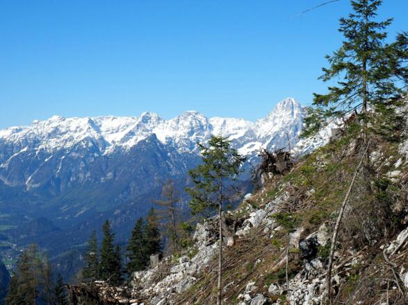 Gipfelgrat Tamberg Nord vom Sattel 1400m