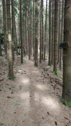 Hinweistafel zur Höhle