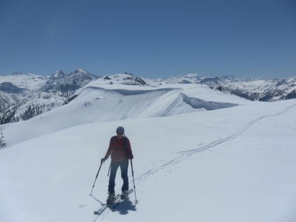 Rückweg am Kamm mit Ankogelblick