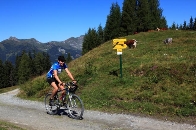 Auf dem Weg zur Bichlalm
