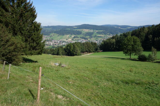 Blick auf St. Oswald bei Freistadt beim Aufstieg