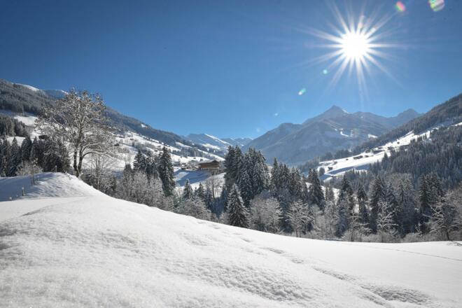 Alpbach Mittlerer Höhenweg