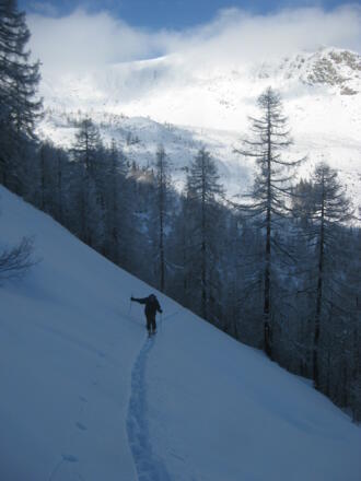 steiler Hochwaldanstieg