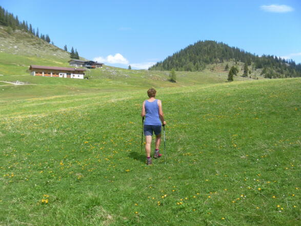 Nachbergalm vor Zunterköpfl