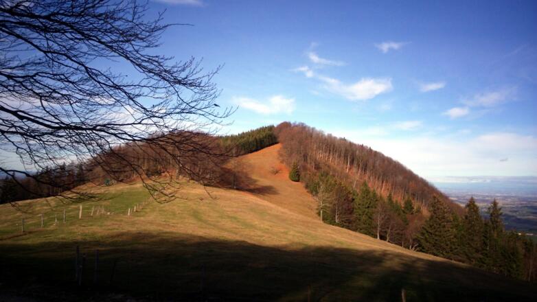 Kruckenbrettl 1020m von Ost beim Abstieg