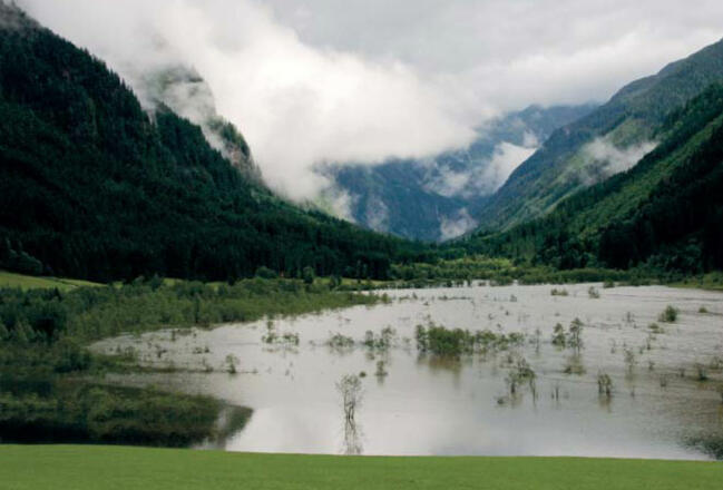 Blick von der Aussichtsplattform über das Tettermoor