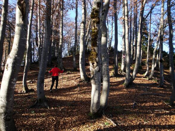 Nur mehr wenige Meter bis zum Gipfel