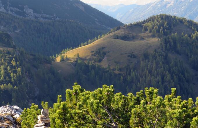 Blick vom Gipfel zum Hals