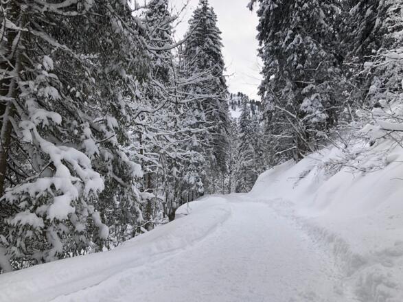 Winterwanderweg im Bärgunttal