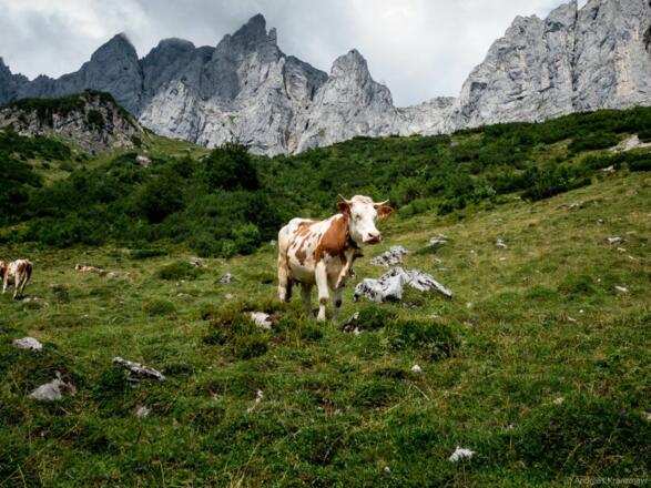 Going_Ackerlspitze_Wilder Kaiser