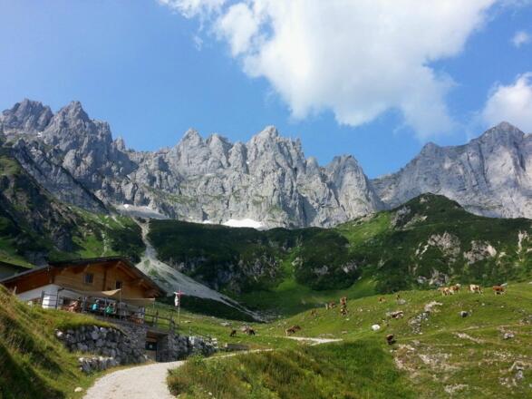 Going_Obere Regalm_Wilder Kaiser