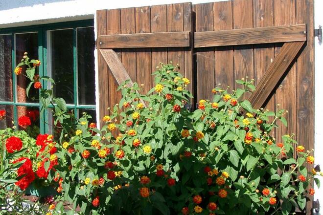 Urige Gemütlichkeit erwartet Sie!