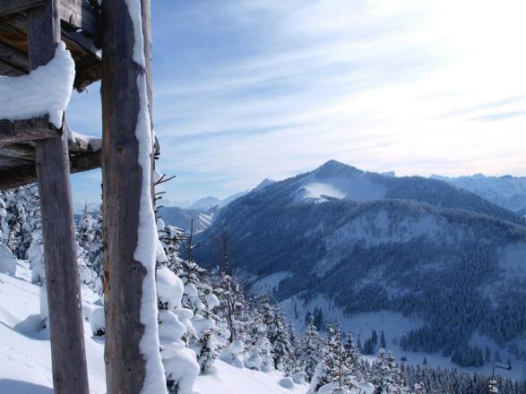 Blick zur Tannschwärze von ~1300m